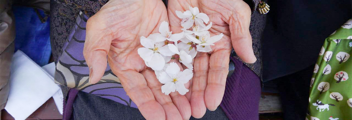 利用者様のお花見